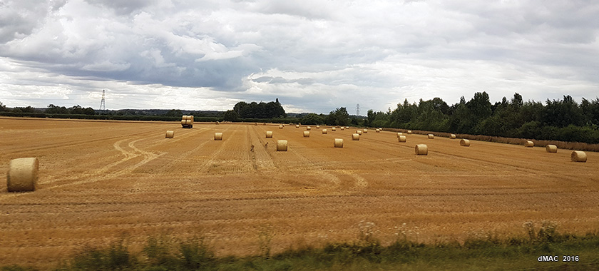 England harvest